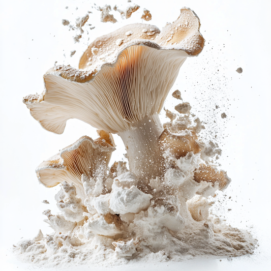 Whole Mushroom Powder - King Trumpet