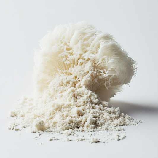 Whole Mushroom Powder - Lion's Mane